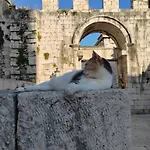 It ספליט