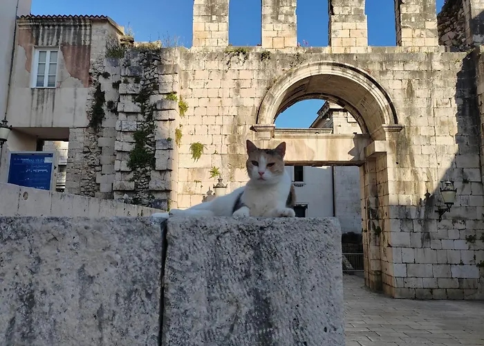 אכסניה It ספליט